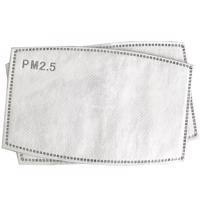 Filtr wymienny PM2.5 KP6154