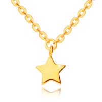 Naszyjnik z żółtego 14K złota - lśniący łańcuszek z płaskimi oczkami i zawieszką w kształcie gwiazdy